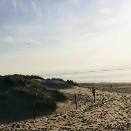 In Dichtbij Het * Ouddorp