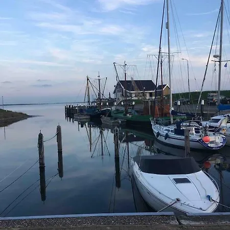 Semesterbostad In Dichtbij Het Ouddorp